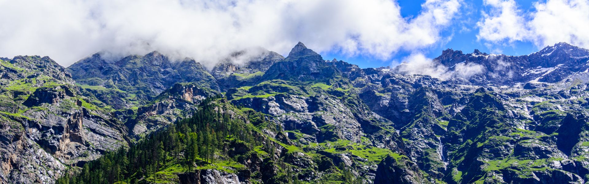 Enjoy The Splendour Of Deodar Trees Kasol - Pulga - Kalga / Kheerganga
