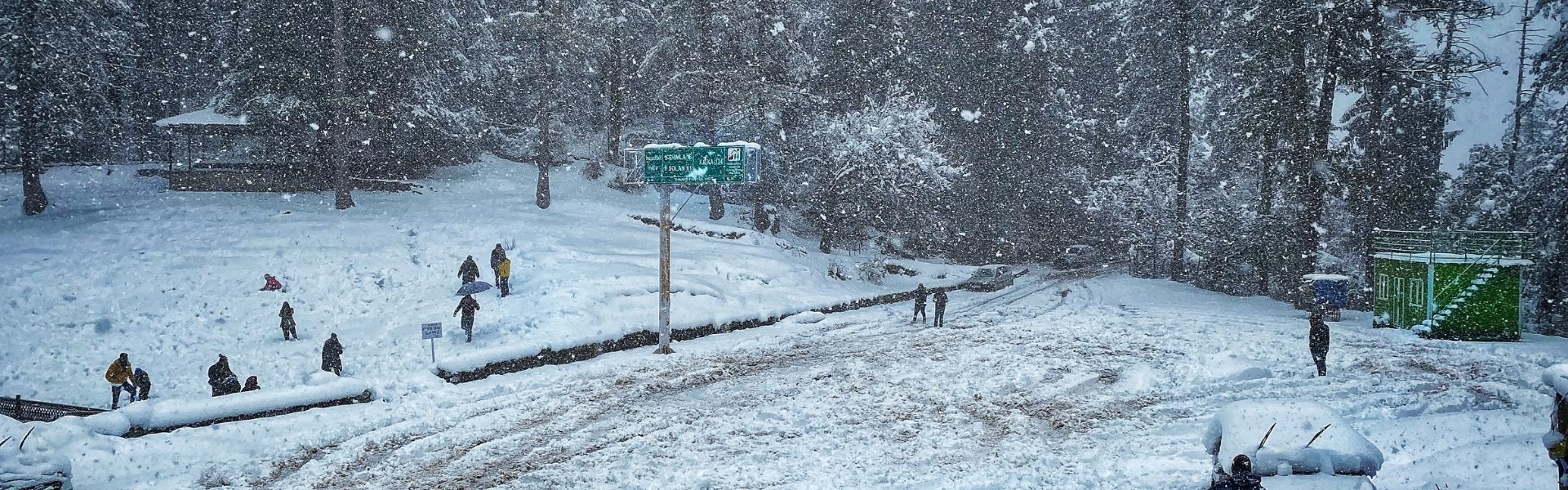 Blissful Honeymoon In Chail And Mashobra