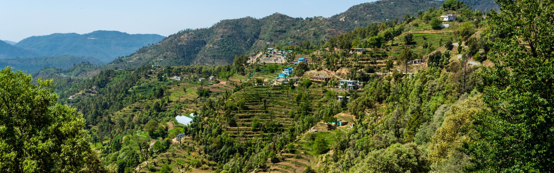 Jim Corbett Wildlife Safari And Nainital